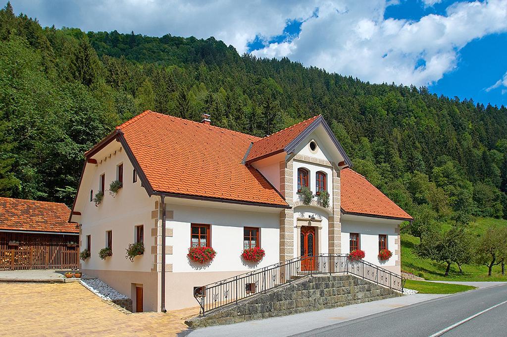 Farm Stay Bukovje Ljubno Exteriér fotografie