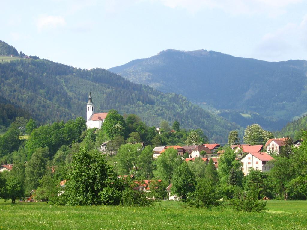 Farm Stay Bukovje Ljubno Exteriér fotografie