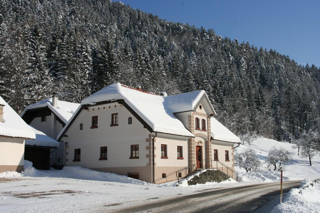 Farm Stay Bukovje Ljubno Exteriér fotografie